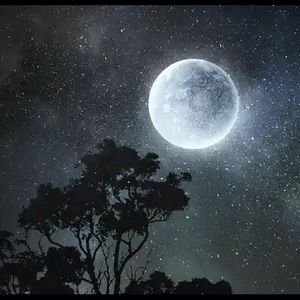 Meet your Posher, Aimee